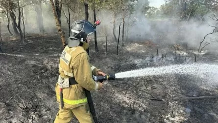 Пожар в Наурзумском заповеднике потушили 
