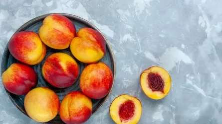Лимоны и персики Мангистау: декхане готовы снабжать региональный рынок