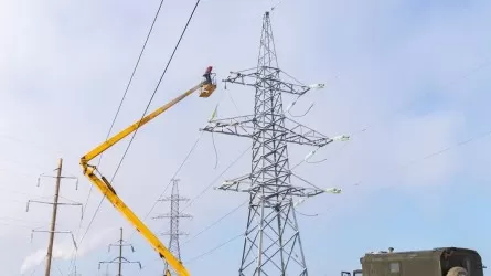 Мажилисмены потребовали установить птицезащитные устройства на электролиниях 