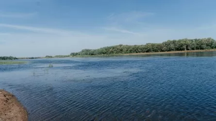 Ертіс өзеніне Сібір бекіресі жіберілді