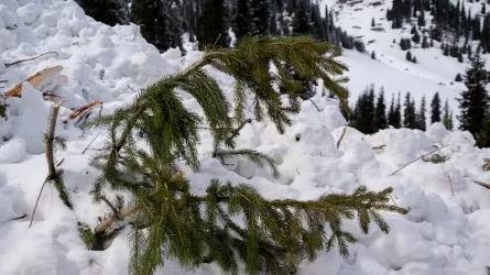 Прогноз погоды на неделю