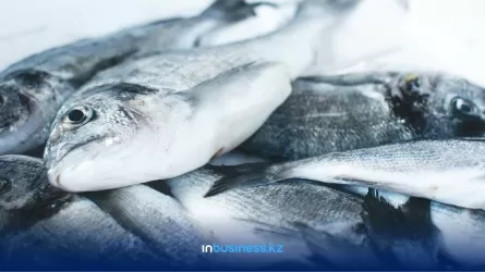 В Казахстане резко подорожали рыба и морепродукты: на 19% 