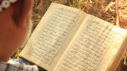Радикалы устроили новые акции сожжения Корана в Дании 