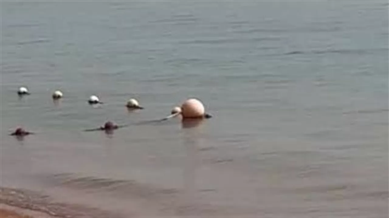 Мысырда туристке акула шабуыл жасады