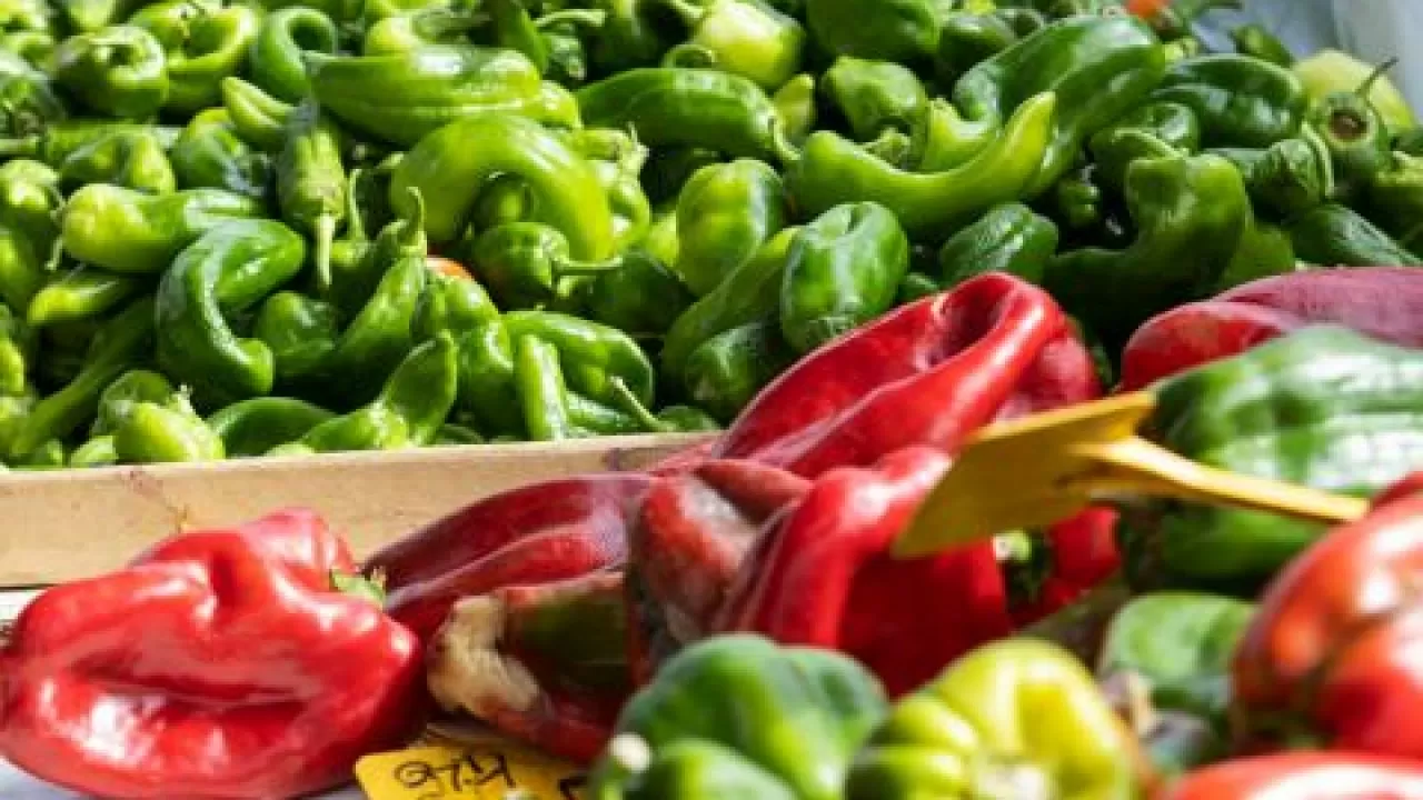 Елордада өңірлік тауар өндірушілердің ауыл шаруашылығы жәрмеңкелері қай күндері өтеді? 