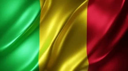 В Мали перенесли выборы президента