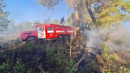 30 млрд тенге сгорело вместе с лесом в Казахстане