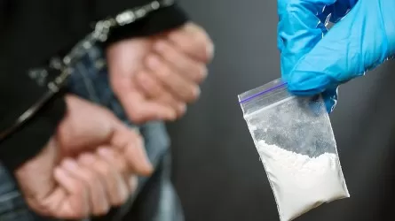 Генпрокурор РК предложил коллегам из стран ОЭС объединиться для борьбы с наркопреступностью
