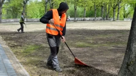 Отбасында ойран салатындар қоғамдық жұмысқа тартылуы мүмкін