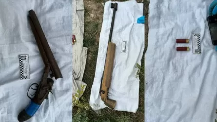В Алматы обнаружили два схрона с оружием 
