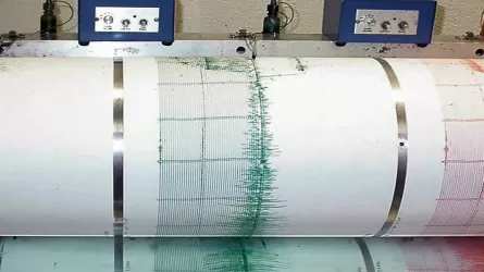 Очередное землетрясение произошло в 400 километрах от Алматы  
