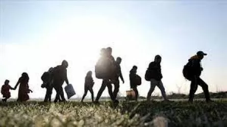 Түркия 43 мыңға жуық заңсыз мигрантты елден шығарды