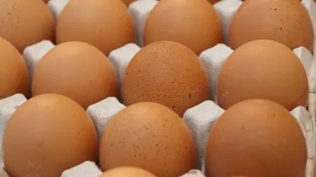 Более 3 млрд куриных яиц произвели за 8 месяцев в Казахстане 