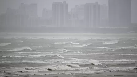 Около 80 человек пострадали из-за тайфуна на Тайване 