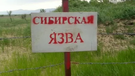 Режим ЧС объявили в одном из сел Абайской области из-за сибирской язвы