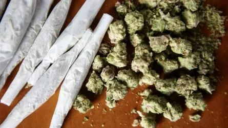 Более трех центнеров марихуаны изъял спецназ КНБ у драгдилеров