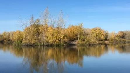 «Жаяу кешіп өтетін күн алыс емес»: Экологтар Ертіс өзенінің жағдайына алаңдаулы