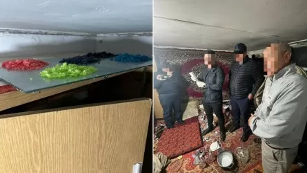 Алматыда 21 жастағы жігіт есірткі зертханасын ұйымдастырған
