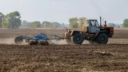 Агроөнеркәсіп саласында нақты серпіліс қажет