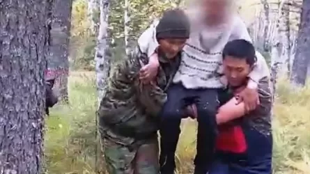 Риддерде саңырауқұлақ теруге шыққан адам адасып кетті
