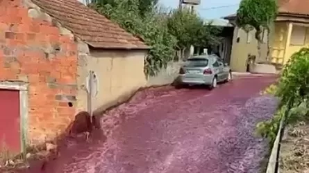 Реки из вина затопили улицу в Португалии 