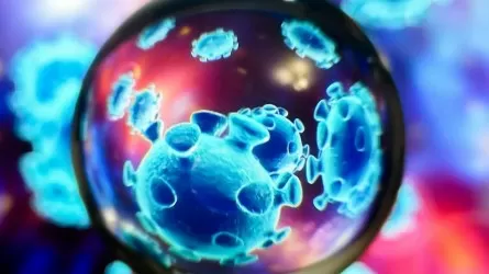 Названы группы риска для нового штамма коронавируса "Пирола"