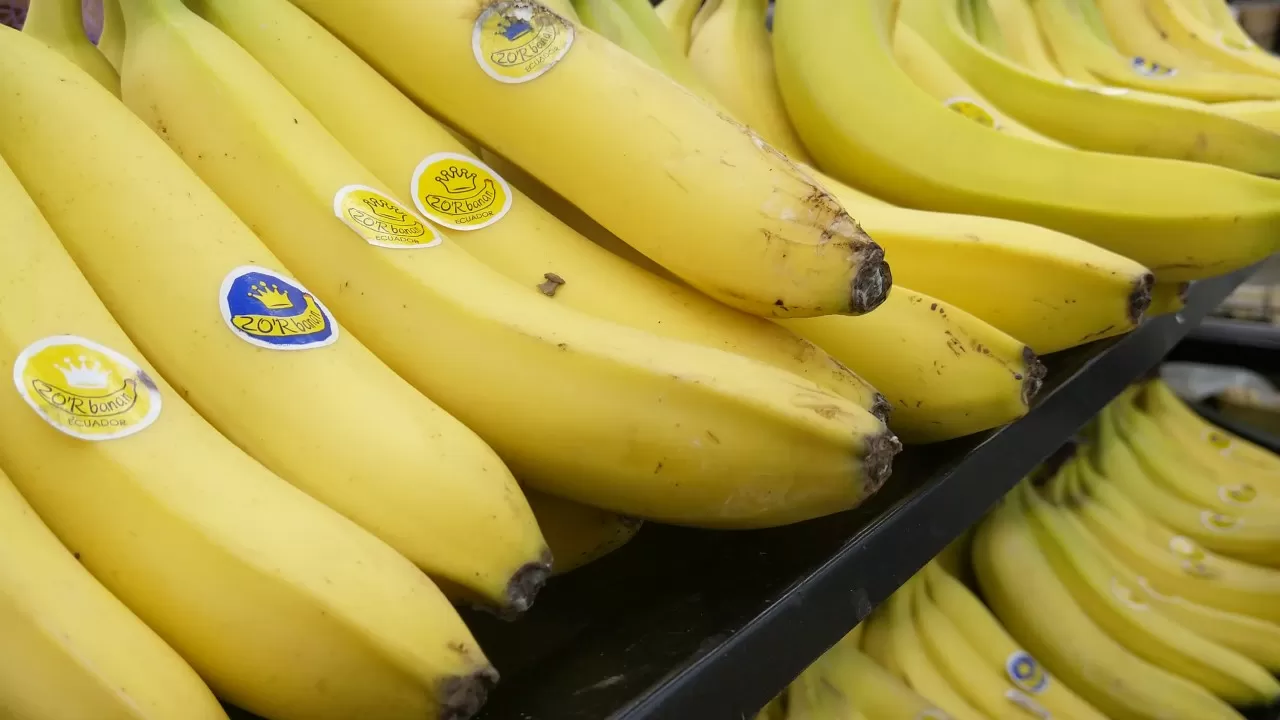 Пропадут ли бананы из казахстанских магазинов из-за мятежа в Эквадоре