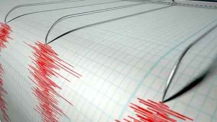 Землетрясение магнитудой 4,6 произошло близ Алматы