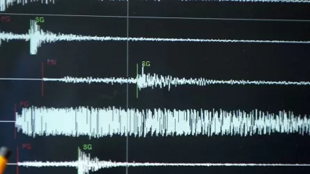 Сейсмологи зафиксировали землетрясение в 275 км от Алматы