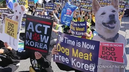 Парламент Южной Кореи одобрил запрет на употребление мяса собак