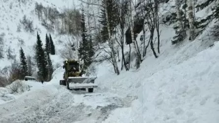 Шығыс Қазақстанда қар көшікінінің қаупі сейілмей тұр