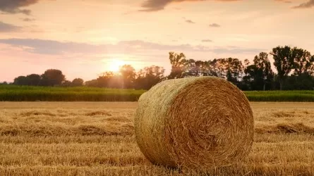 Дизтопливо обойдется аграриям Казахстана на 15% дешевле во время весенних полевых работ 