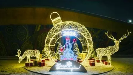 Шорт-трекер мен боксшылар желілік мұз айдынын сынап көрді