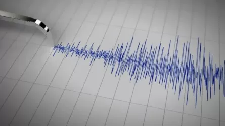Сейсмологи Казахстана сообщили о пятом за сутки землетрясении