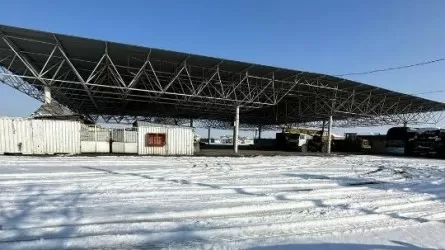 Болат Назарбаевтың жері мемлекетке қайтарылды