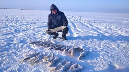 Лайфхаки зимней ловли от опытных рыбаков
