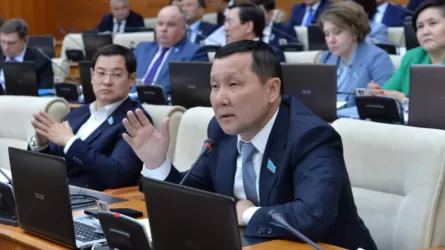 Үкімет қылмыстық атқару жүйесіне назар аудару қажет – депутат 