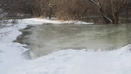 Как в Абайской области реагируют на повышение уровня воды в Иртыше?