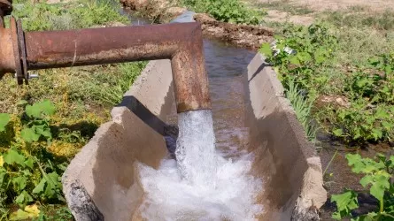 Ученые из Петропавловска с помощью микроводорослей чистят сточные воды