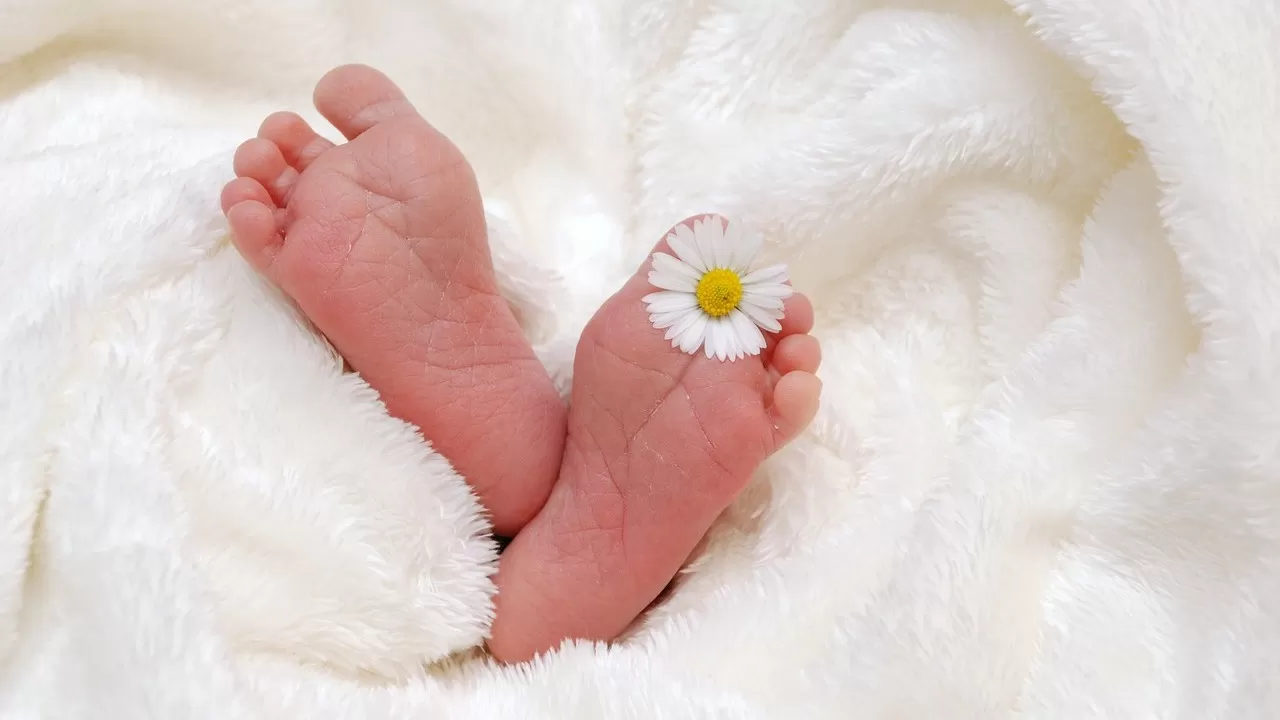Жаңа жыл қарсаңында Маңғыстауда 12 сәби өмірге келген  