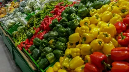 Где в Алматы пройдет расширенная сельскохозяйственная ярмарка
