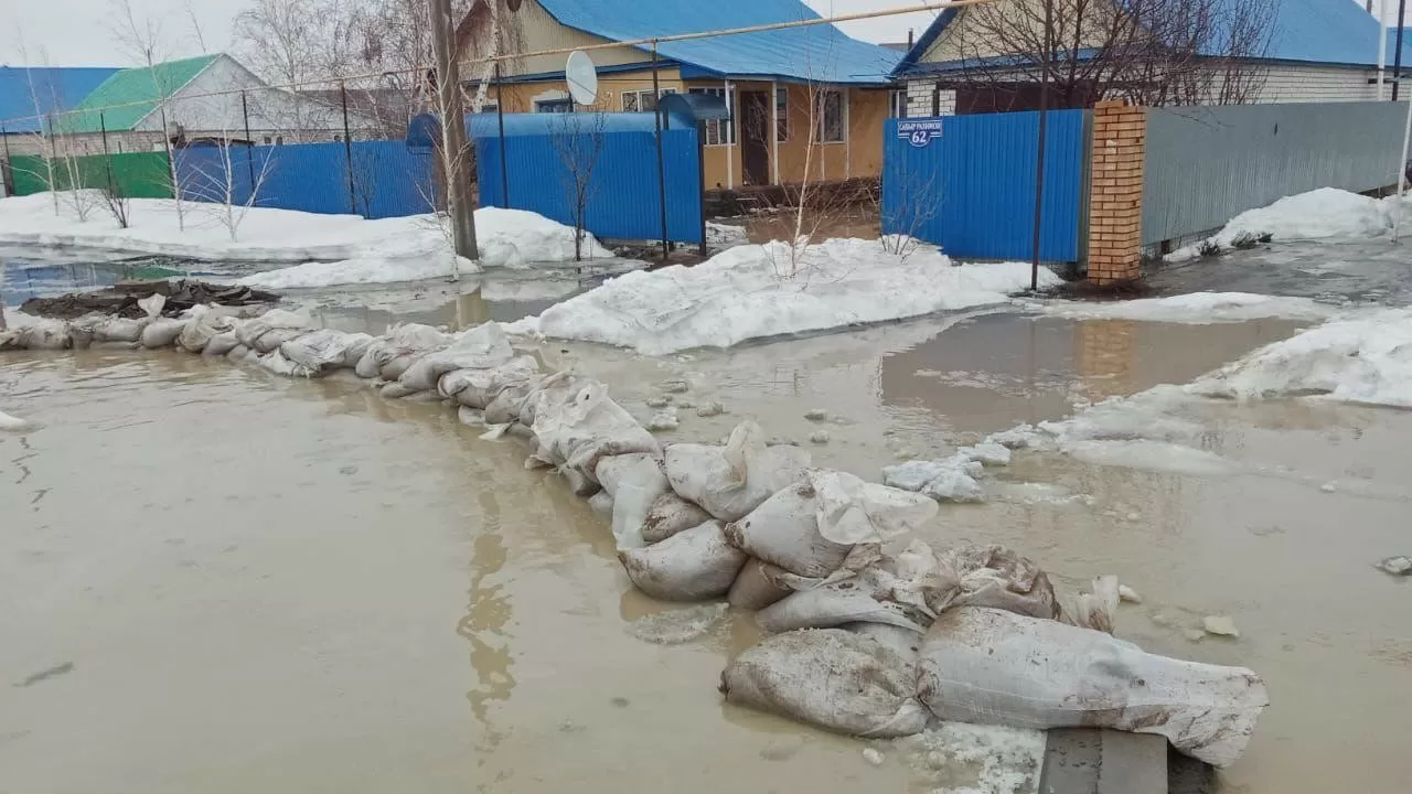 Ақтөбе облысында cу тасқыны кезінде пайда таппақ болған шенеунік жазаланды