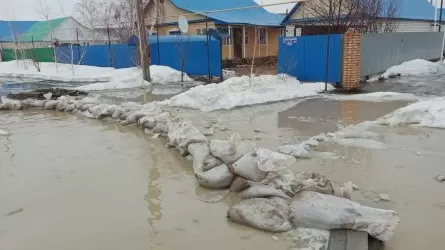 Ақтөбе облысында cу тасқыны кезінде пайда таппақ болған шенеунік жазаланды