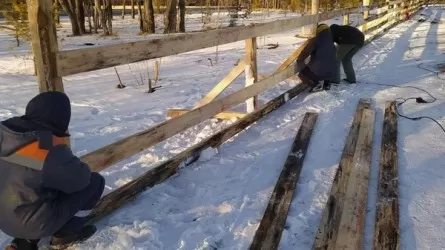 Где в Караганде можно покататься на коньках