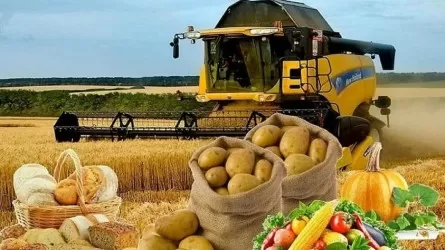 Сенат ЕАЭО-дағы ауыл шаруашылығы өнімдерінің қоймалық куәлігі туралы келісімді ратификациялады 