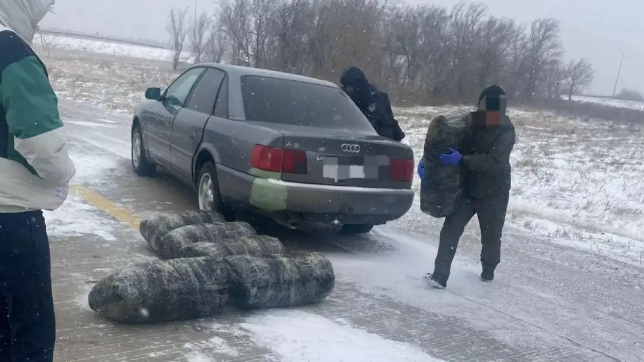 Больше 250 кг марихуаны перевозили в Audi наркокурьеры в Карагандинской области 