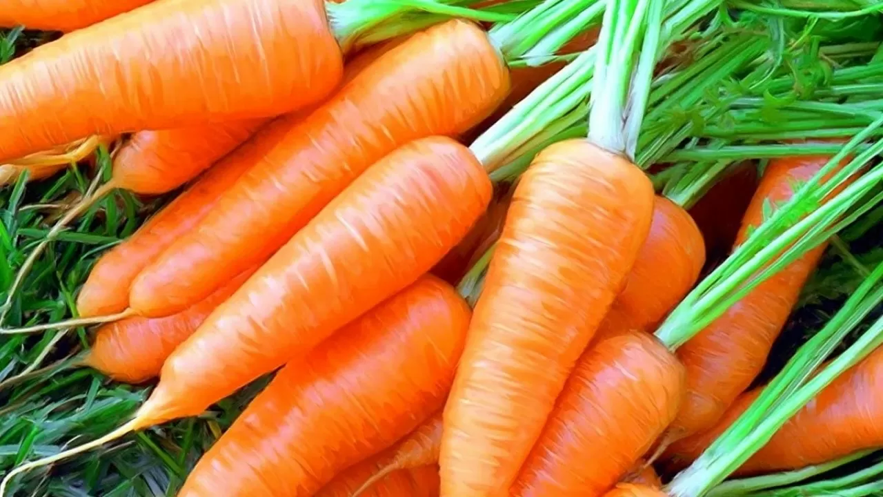 Названы продукты для полезного рациона в декабре 
