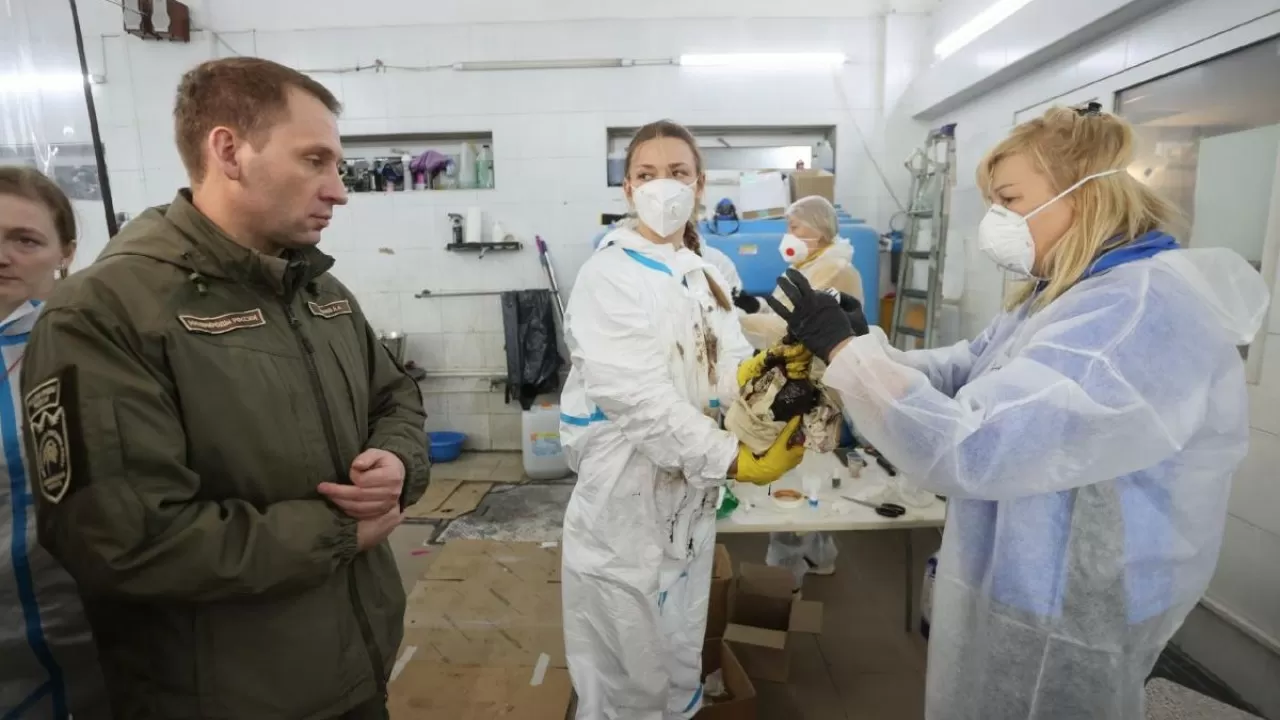 Cотни птиц погибли из-за разлива мазута в Керченском проливе в России 