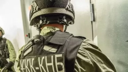 Қазақстан шекарасында 40-тан аса шетелдік ұсталды