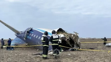 Опубликованы фото с места авиакатастрофы близ Актау 